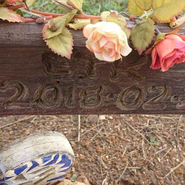 EYK Ria, van 1931-2018