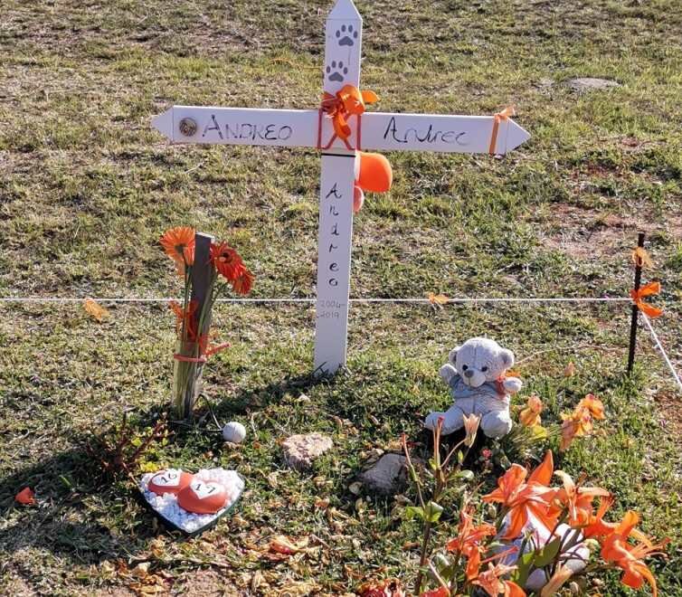 ANTREE Andreo 2004-2019