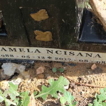 NCISANA Pamela 1988-2017