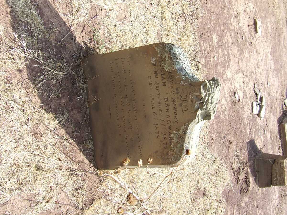 BARAGWANATH William 1877-1878