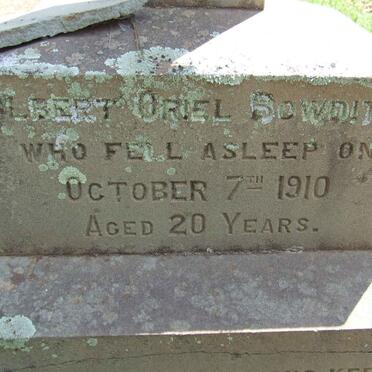 BOWDITCH Gilbert Oriel -1910