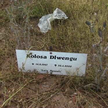 Dl - Surnames starting with the letters Dl