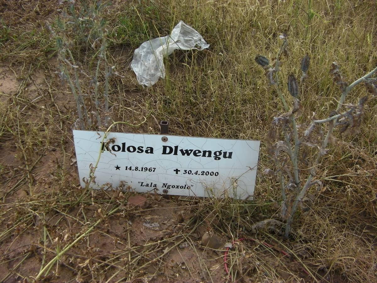 DLWENGU Kolosa 1967-2000