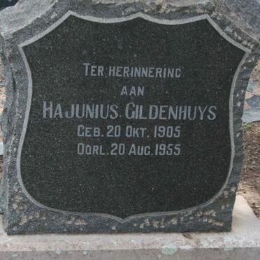 GILDENHUYS Hajunius 1905-1955