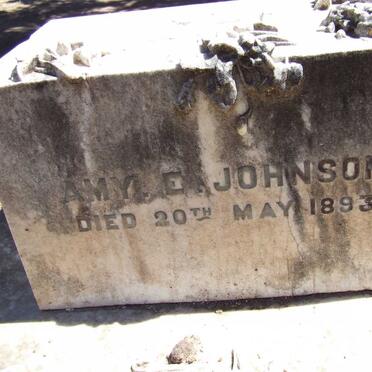 JOHNSON Amy E. -1893