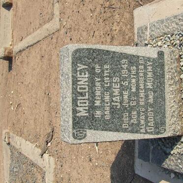 MOLONEY James -1949