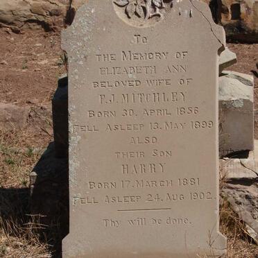 MITCHLEY Elizabeth Ann 1856-1899 :: MITCHLEY Harry 1881-1902