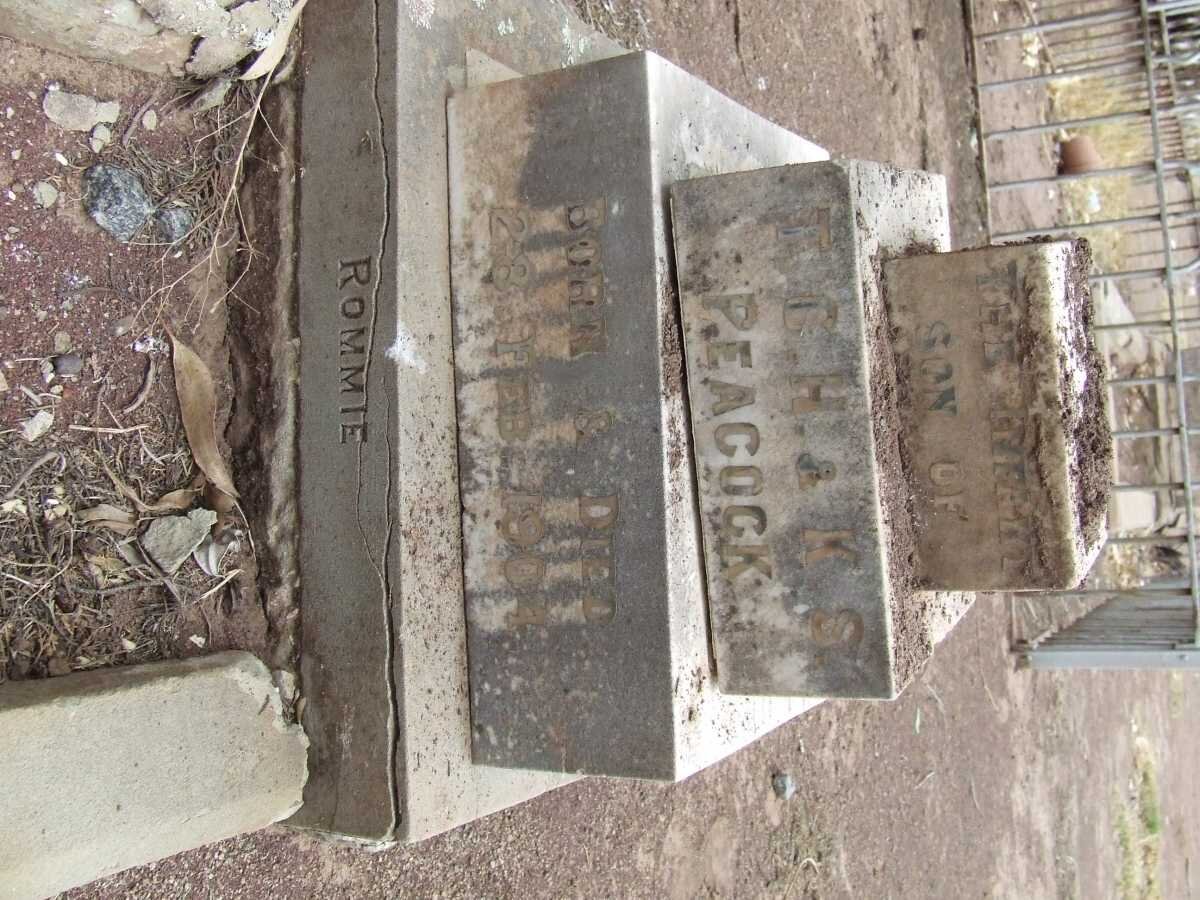 PEACOCK Rommie 1904-1904