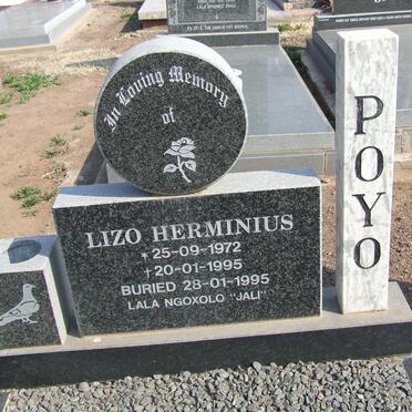 POYO Lizo Herminius 1972-1995