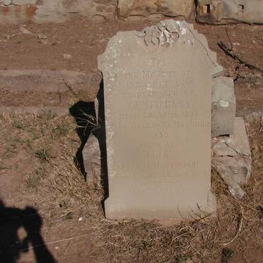 RADLEY P.J. 1856-1899