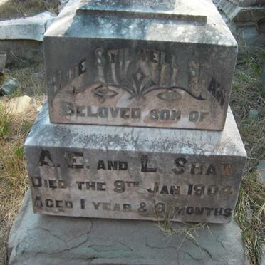 SHAW Elouie Stilwell 1903-1904