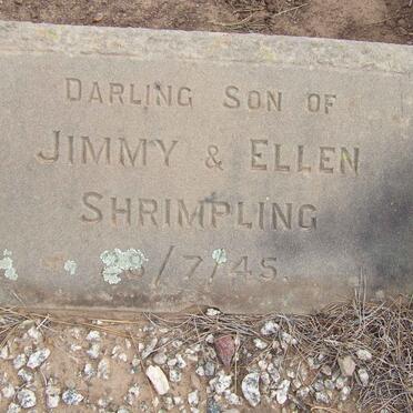 SHRIMPLING Son -1945