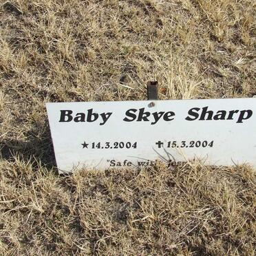 SHARP Skye 2004-2004