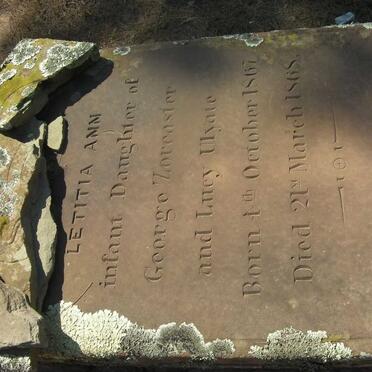 Z - Vanne :: Surnames - Z