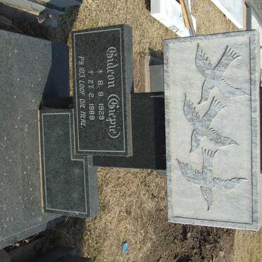 ZYL Gideon, van 1929-1989