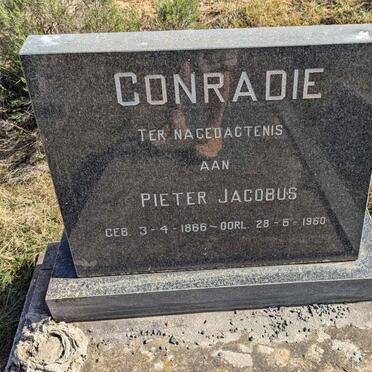 CONRADIE Pieter Jacobus 1866-1960