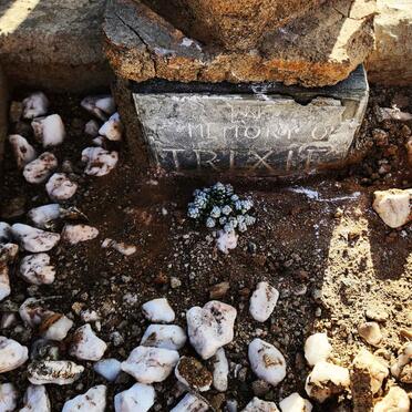 1. Unknown :: Illegible