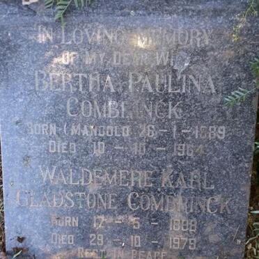 Eastern Cape, STEYTLERVILLE district, Dorschfontein 100, farm cemetery