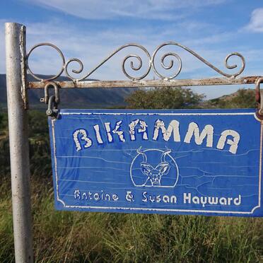 Eastern Cape, STEYTLERVILLE district, Bikamma 56, farm cemetery