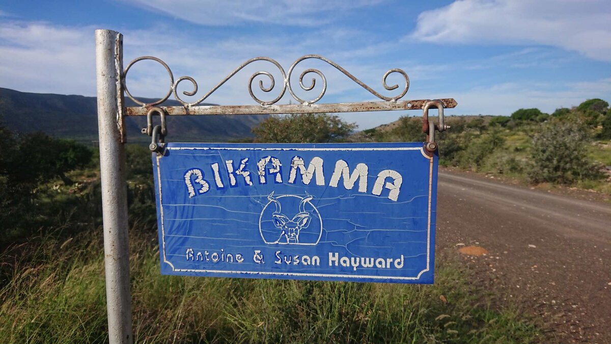 1. Overview / Oorsig