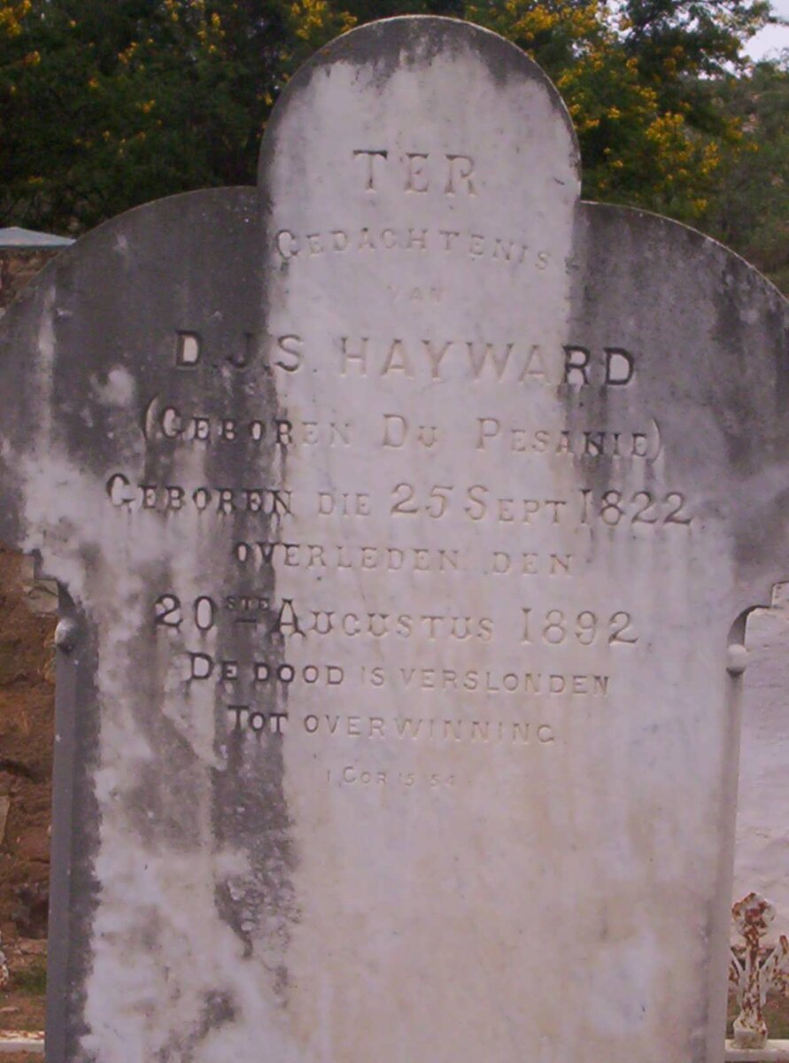 HAYWARD Dina Johanna Susara nee DU PISANIE 1822-1892