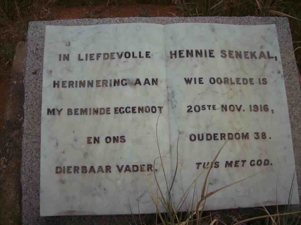 SENEKAL Hennie -1916