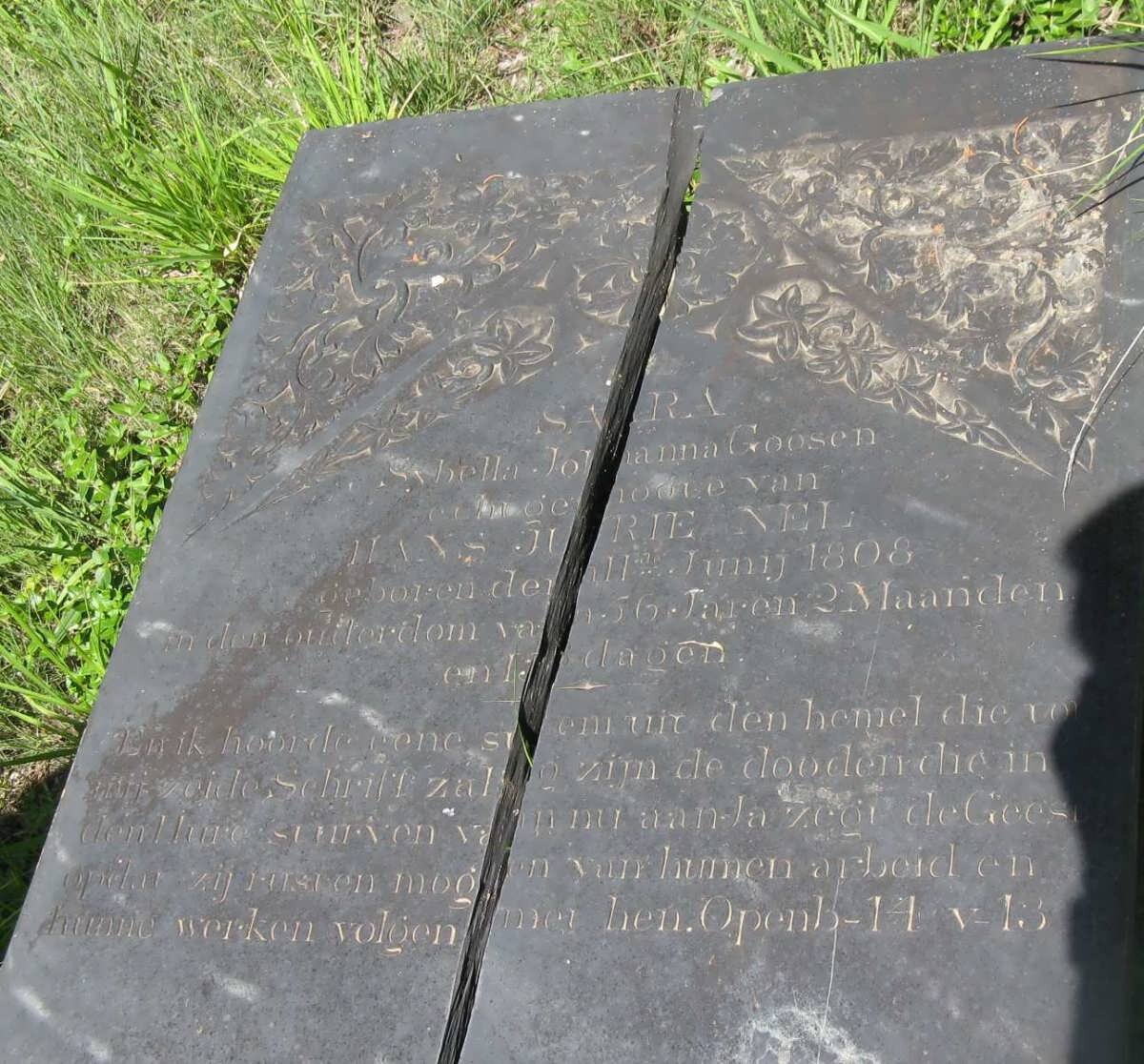 NEL Sara Sybella Johanna nee GOOSEN -1808