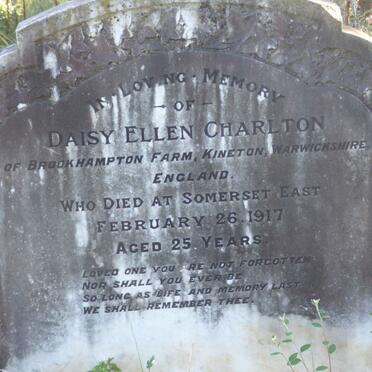 CHARLTON Daisy Ellen -1917