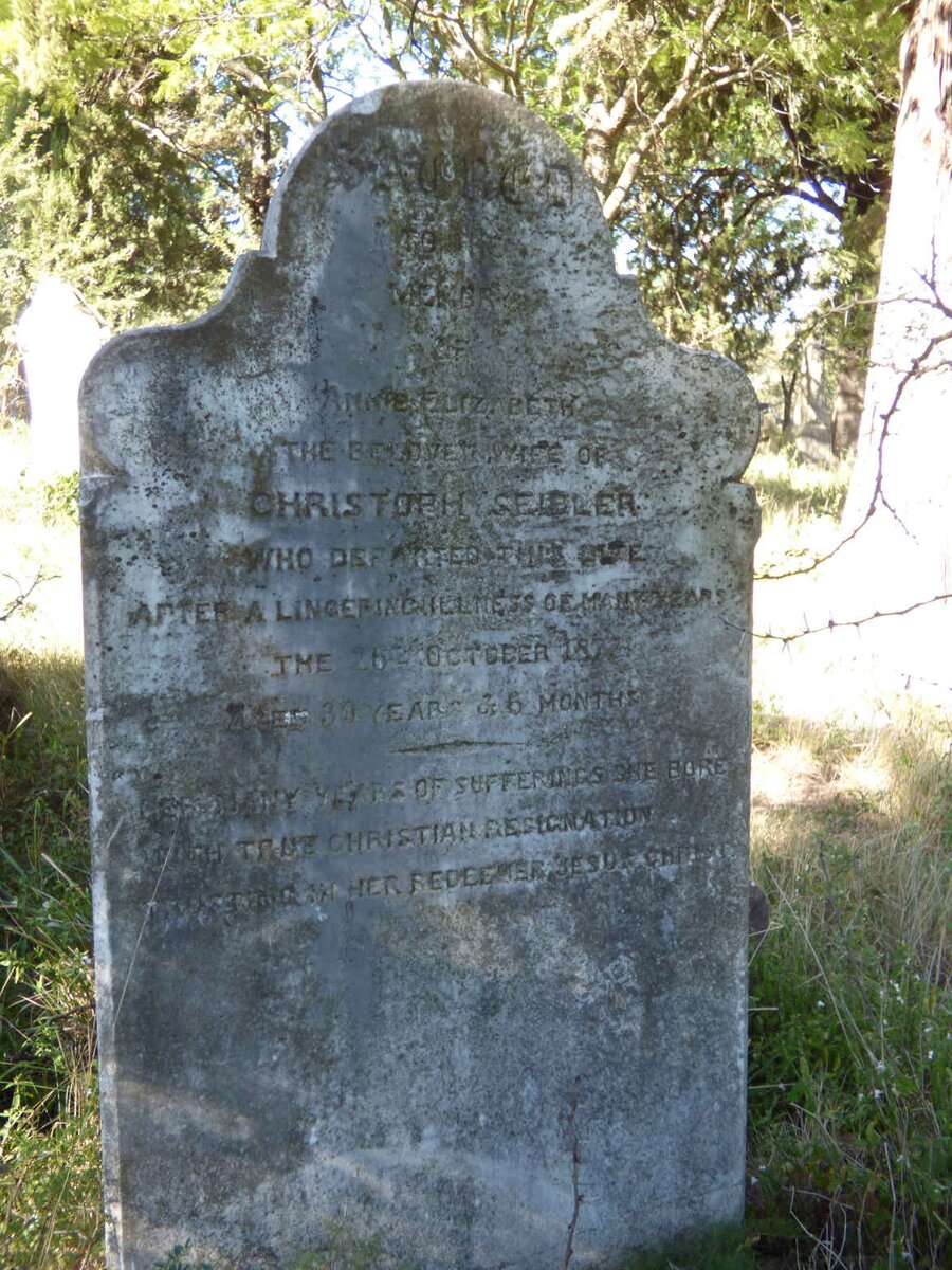 SEIDLER Anne Elizabeth -1877