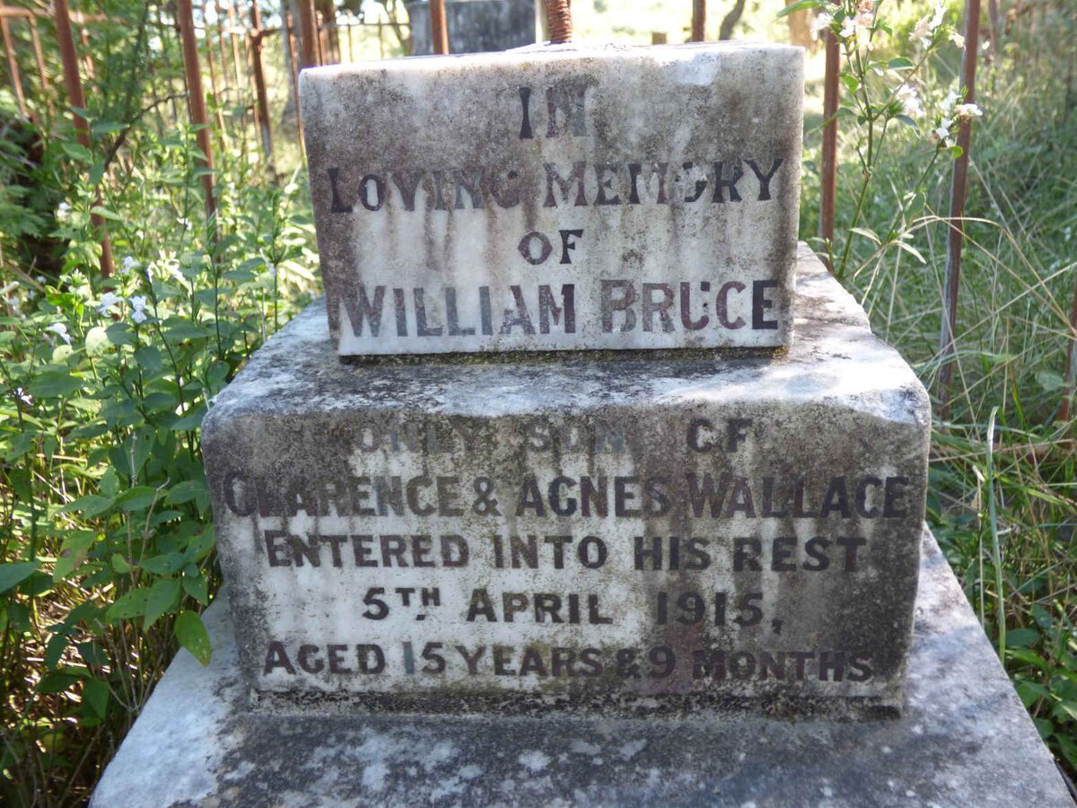 WALLACE William Bruce -1915