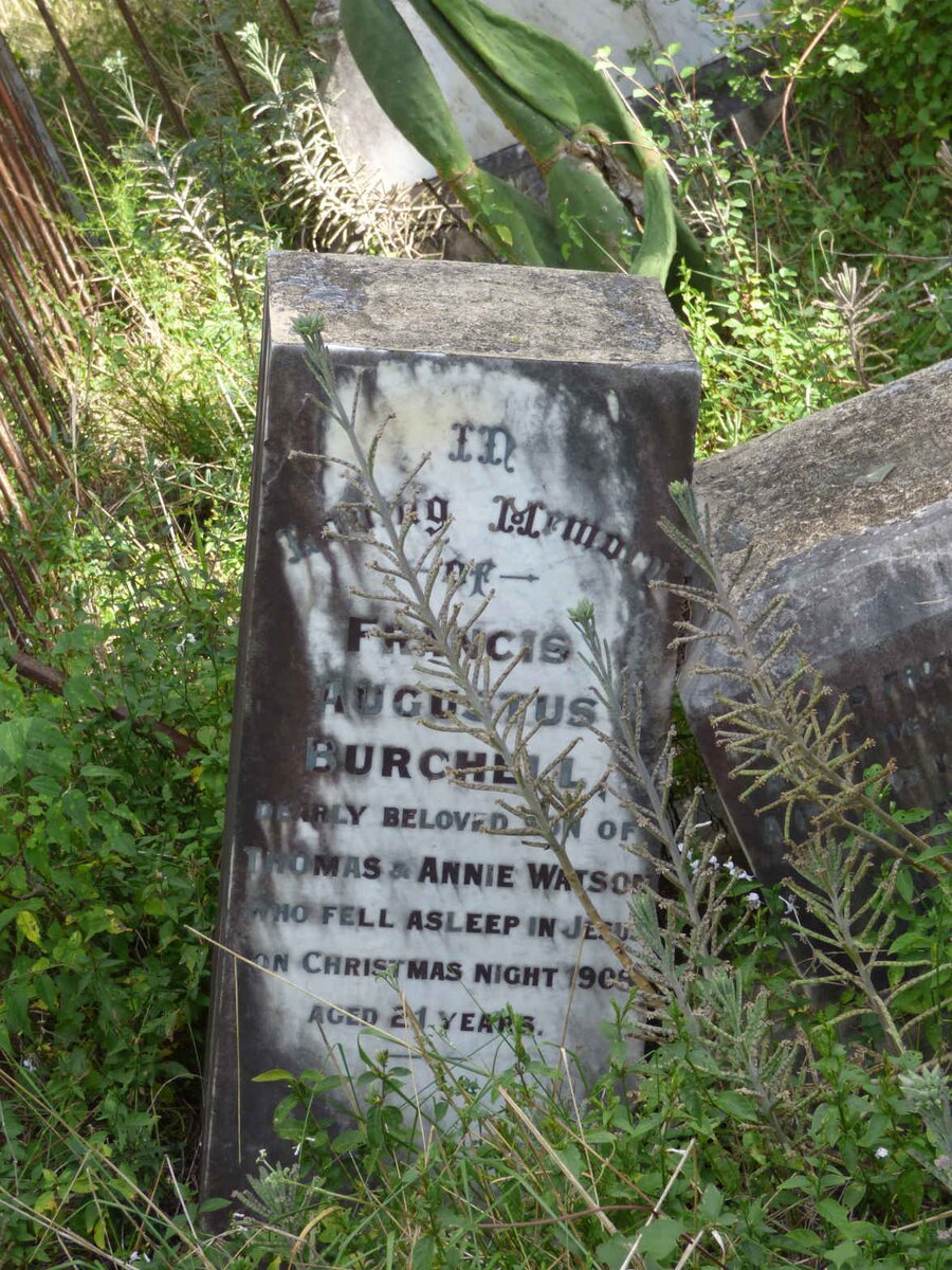 BURCHELL Francis Augustus -1908