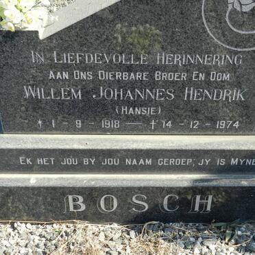BOSCH Willem Johannes Hendrik 1918-1974