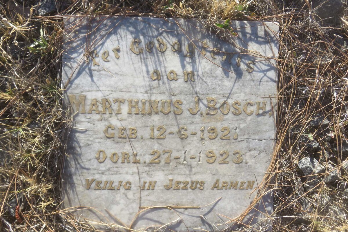 BOSCH Marthinus J. 1921-1923