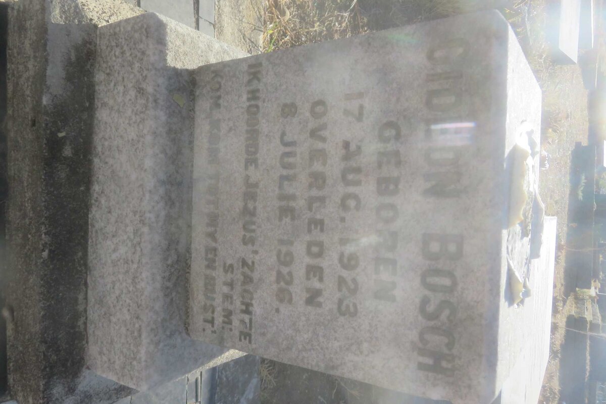 BOSCH Gideon 1923-1926