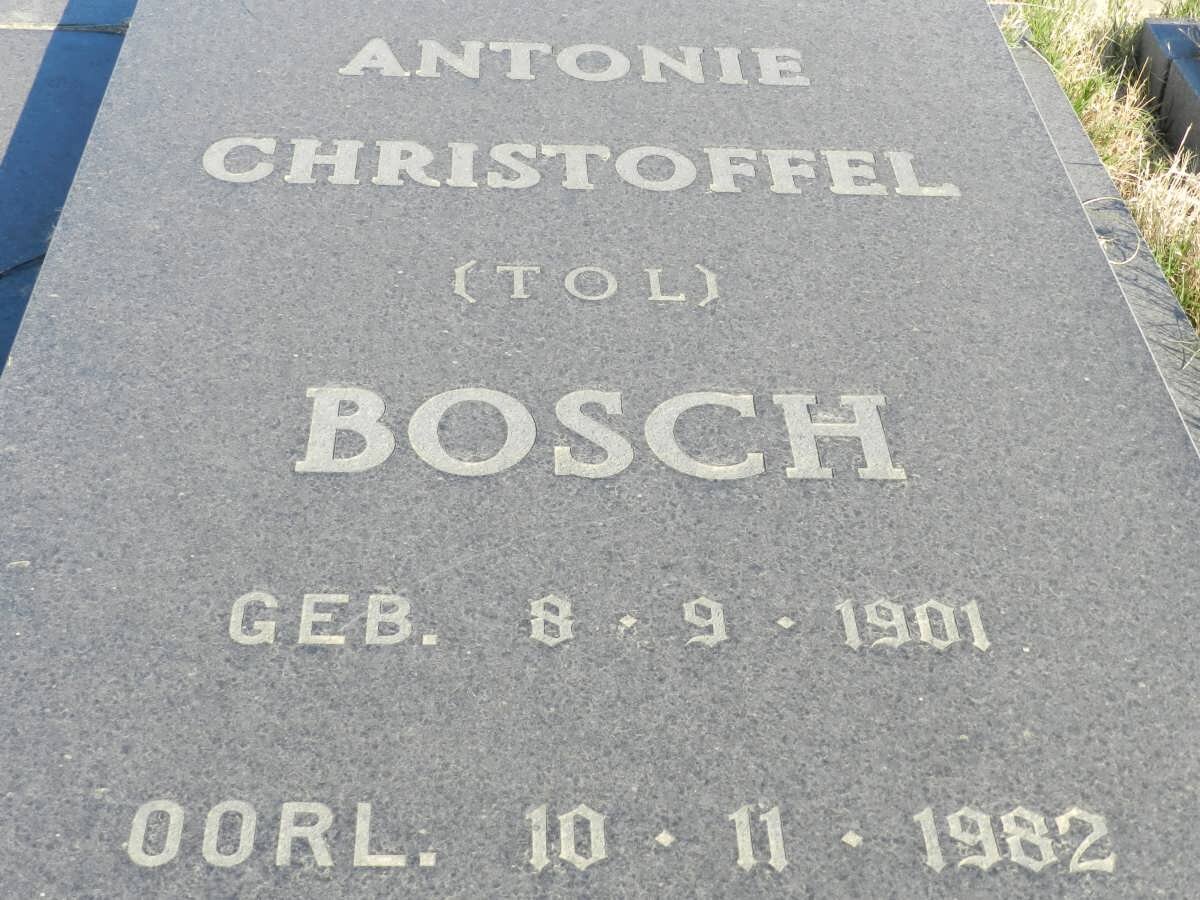 BOSCH Antonie Christoffel 1901-1982