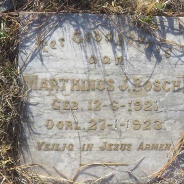BOSCH Marthinus J. 1921-1923