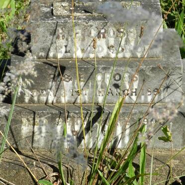 CROSS H.E. 1891-1906