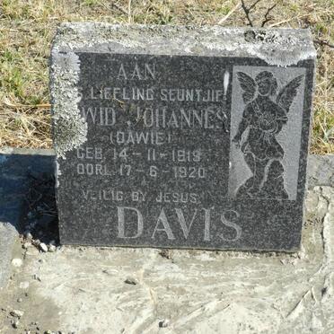 DAVIS Dawid Johannes 1919-1920