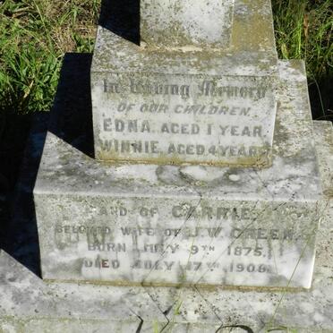 GREEN Carrie 1875-1908 :: GREEN Edna :: GREEN Winnie