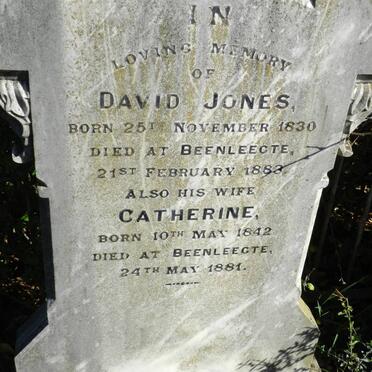 JONES David 1830-1883 &amp; Catharine 18412-1881