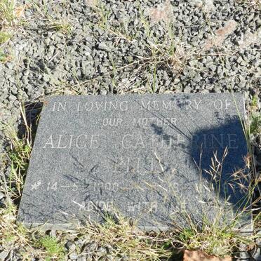 PITT Alice Catherine 1900-1979