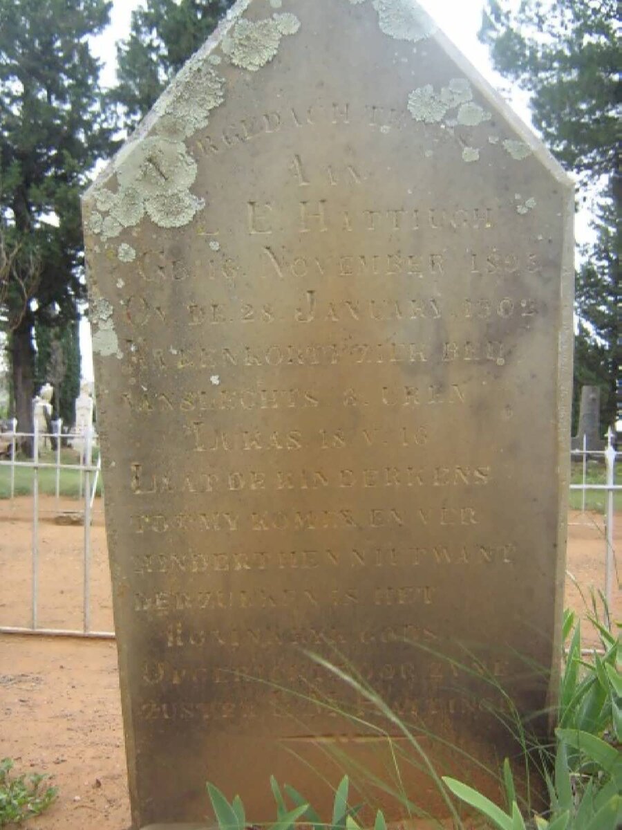 HATTINGH L.E. 1895-1902