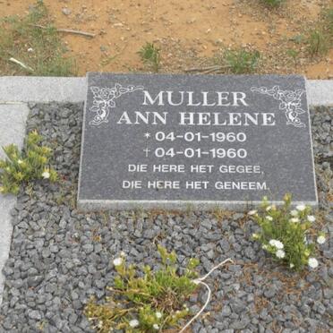 MULLER Ann Helene 1960-1960