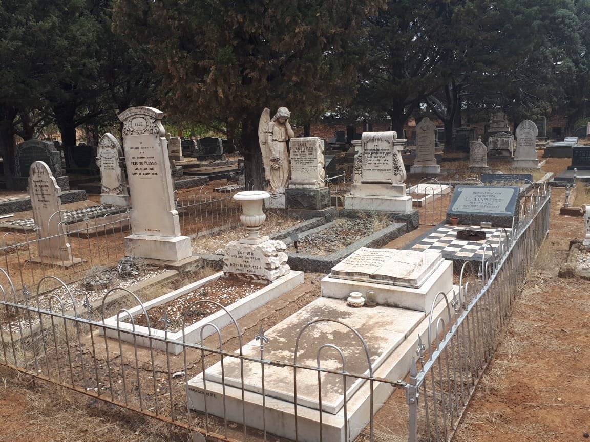 7. Oorsig DU PLESSIS grafte