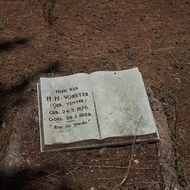VORSTER H.H. nee VENTER 1876-1929