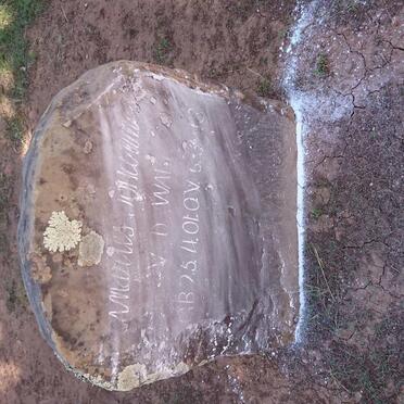 WALT Marius Johannes, v.d. 1901-1918