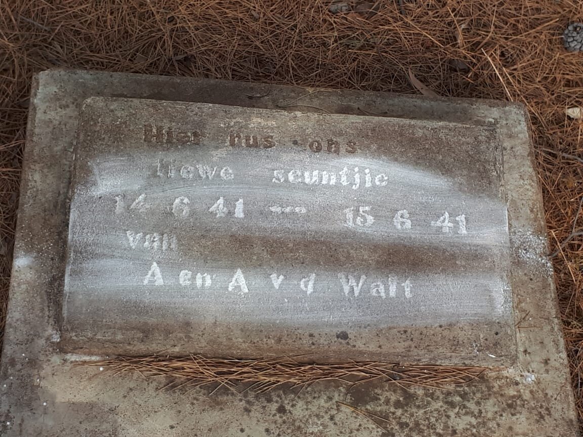 WALT, van der 1941-1941