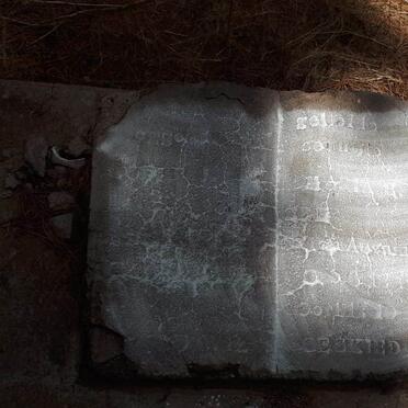 ? Maria E.D. nee AUCAMP -1919