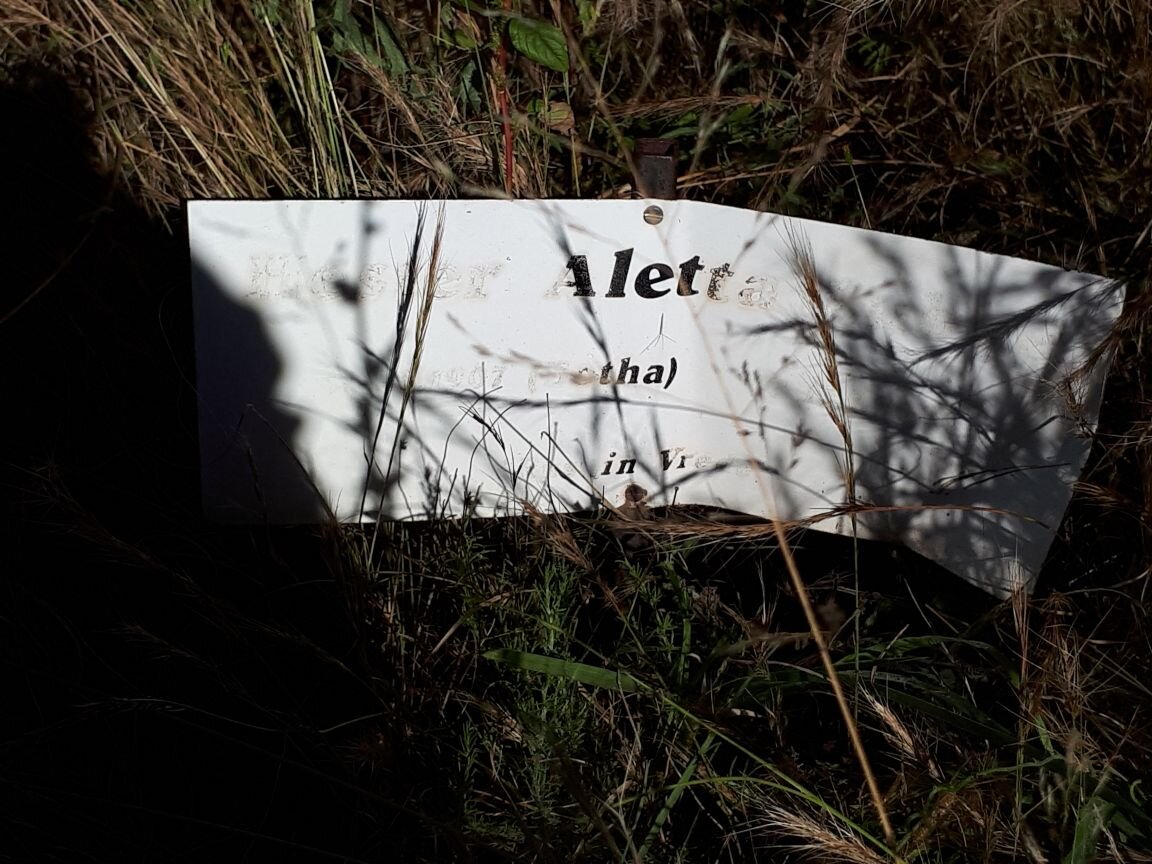 ? Hester Aletta nee BOTHA