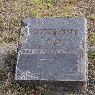 DODS Harry Gleeb -1950